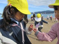 貝殻を見つけた子ども