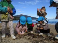 貝殻を探す子ども達