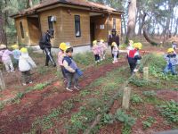 松林の中を散策している