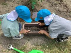 うさぎ組観察