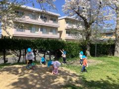 うさぎ組花びらあつめ
