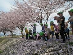 桜の花びらをふらせているよ。