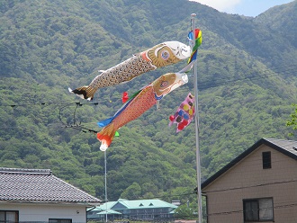 年長さんのこいのぼりです。