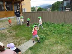 園庭の草花に触れて遊んでいます