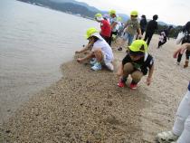 遠足で海岸で遊んでいる