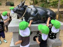 神社の牛の像を触っている
