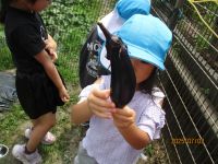 収穫したナスを見せている