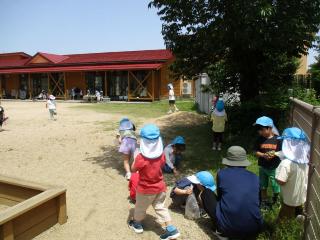 虫探し中の園庭全景