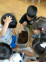 カブトムシを触っている