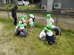 虫を探している様子