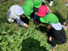 虫を探している様子