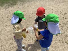 草花で色水づくり