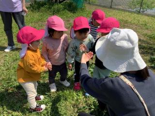 カエルを見ています