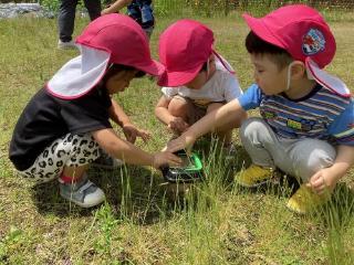 虫籠をみています