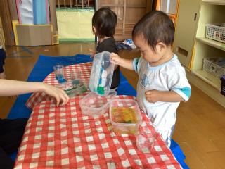 寒天遊びをしています