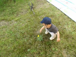 園庭で遊んでいます
