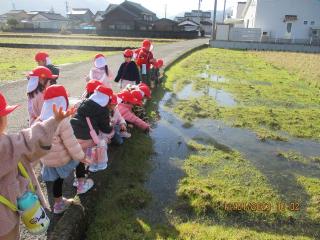 氷探し