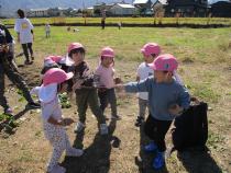 芋づるで綱引きしたよ