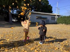 公園で落ち葉遊びをしています