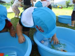 氷の中の草花を触り、「葉っぱ」「はな」と知らせています。