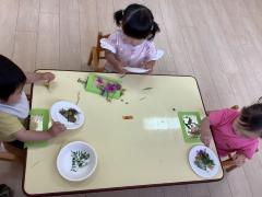 草花を使ったステンドグラス作り