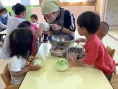 玉ねぎ