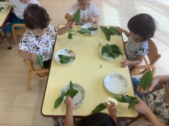 ほうれん草をちぎっています。