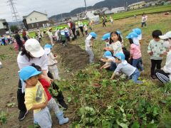うんとこしょ、どっこいしょ。