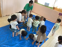 イタドリの葉っぱに触れて遊んでいます。