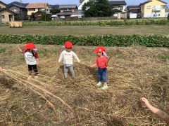 ススキの枯れ枝を拾って遊んでいます。