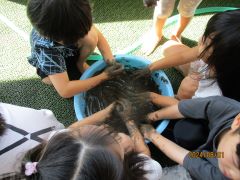 泥の感触を楽しんでいます