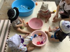 水遊びをしています。
