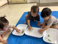 氷に触れて遊んでいます。