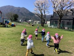 桜がきれいだね