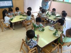 ほうれん草をちぎったよ