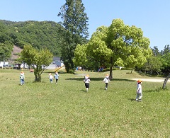 公園の芝生で遊んでいる