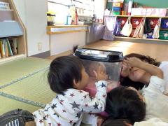 虫を見ています