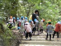 帰り道も木の実拾いをしています