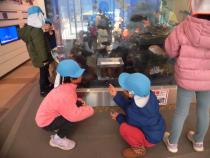 子どもたちが魚を見ています