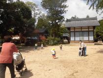 さくらんぼ組が神社で遊んでいます