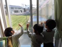 貝殻を光に当ててみています