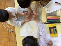 カブトムシの幼虫の観察をしています