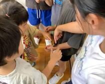 クワガタを腕にのせています