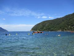 田烏の海で自然体験をしました。