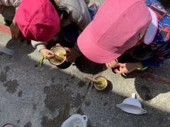 ざりがに組の草花遊び