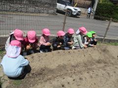 ざりがに組の畑づくり