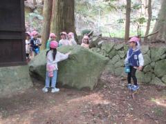 ざりがに組の散歩