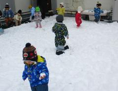 きんぎょぐみ。雪遊び