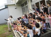 アゲハ見送り