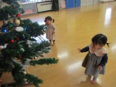 クリスマスツリーを見ている